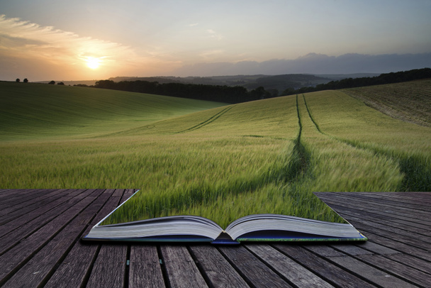 koncepcja kreatywnych stron książka lato krajobraz obrazu f pszenicy - Zdjęcie, obraz