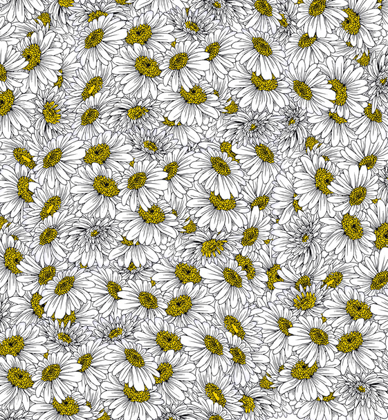 Daisies Background Ink Drawing - Foto, Imagen
