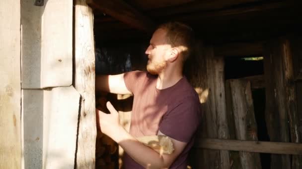 Ένας άντρας κουβαλάει καυσόξυλα με τα χέρια του στο χωριό. - Πλάνα, βίντεο