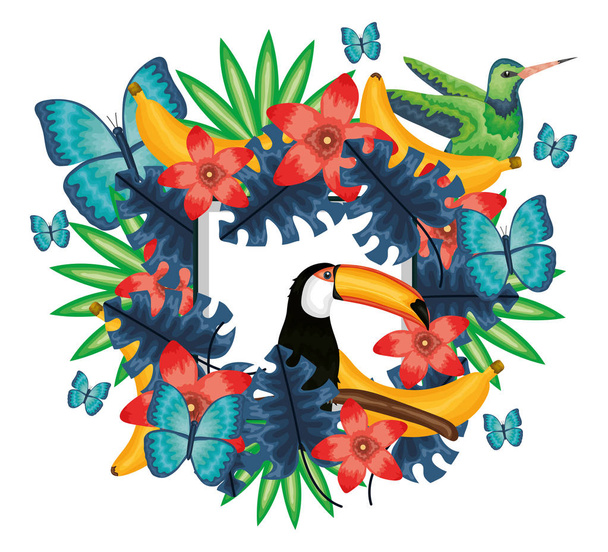 beautiful toucan and hummingbird with floral decoration - Vettoriali, immagini