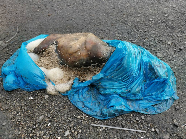 неопознанный скот, частично завернутый в пластик, найденный на обочине дороги
  - Фото, изображение