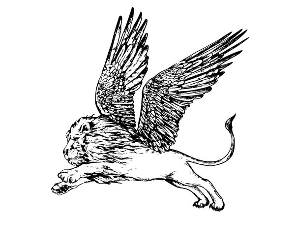 lion with wings 2 - Vetor, Imagem