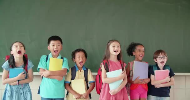Monietninen koululaisten ryhmä seisoo luokkahuoneessa
 - Materiaali, video