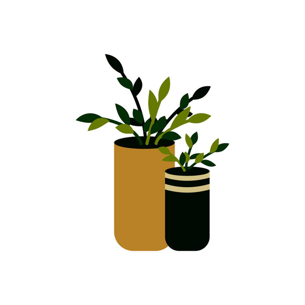 Ilustración vectorial de una planta casera en maceta aislada en blanco. ¡Ho!
 - Vector, Imagen