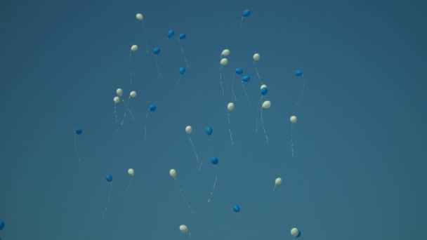Prázdninové balóny létající modrou oblohou. Narozeninové bílé a modré balónky na obloze - Záběry, video