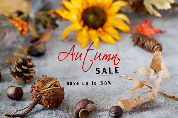 sale concept .Frame of chestnut and autumnal  leaves - Фото, зображення