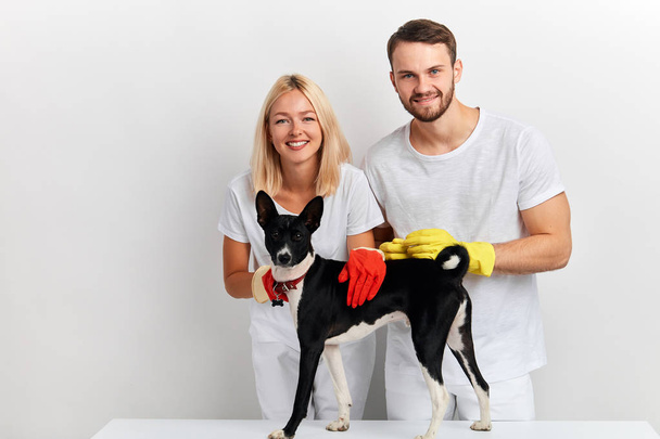 young happy positive kind couple petting a dog in the clinic - Fotoğraf, Görsel