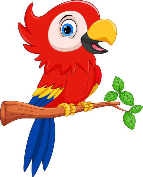 Netter Papagei-Cartoon isoliert auf weißem Hintergrund - Vektor, Bild
