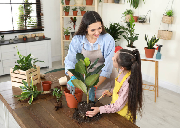 Mother and daughter taking care of plant at home - Foto, Bild