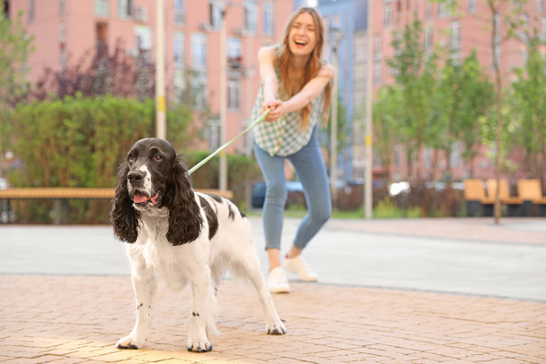 Γυναίκα περπάτημα Αγγλικά Σπρίνγκερ σπάνιελ σκύλος σε εξωτερικούς χώρους - Φωτογραφία, εικόνα