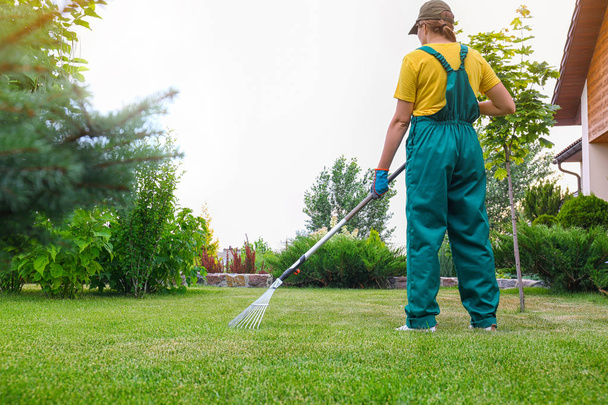 Woman raking green lawn at backyard outdoors. Home gardening - Photo, Image