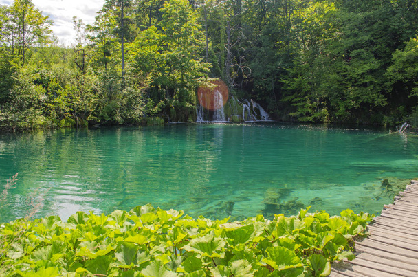 Мальовничі літні пейзажі парку Плітвицькі озера, Хорватія - Фото, зображення