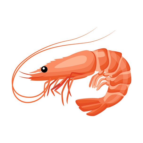 Shrimp icon in flat style, fresh sea food. - Vector, Image