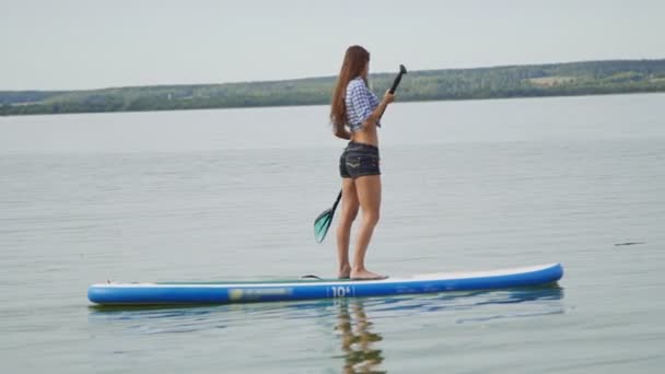 海の海でサーフィンパドルボードサーフボードを立ち上がる若い女の子 - 映像、動画