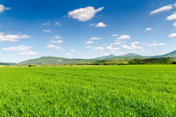 green field background scenic view  - Photo, Image