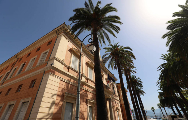 El ayuntamiento de Ajaccio enmarcado por palmeras, isla de Córcega, Francia
. - Foto, imagen