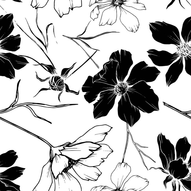Vektorové Kosmos květinové botanické květy. Černé a bílé ryté inkoustem. Bezespání vzorek pozadí. - Vektor, obrázek