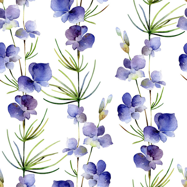 Seamless pattern with delphinium flower on white background - Foto, afbeelding