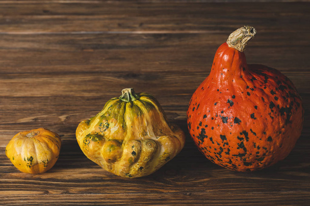 fresh picked gourds on wooden surface  - Foto, immagini