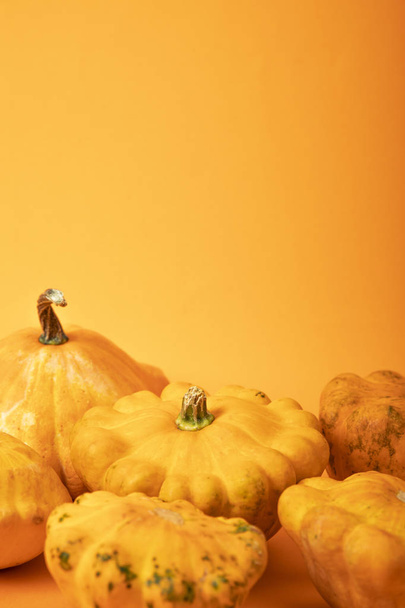 fresh gourds on bright yellow background - Photo, Image