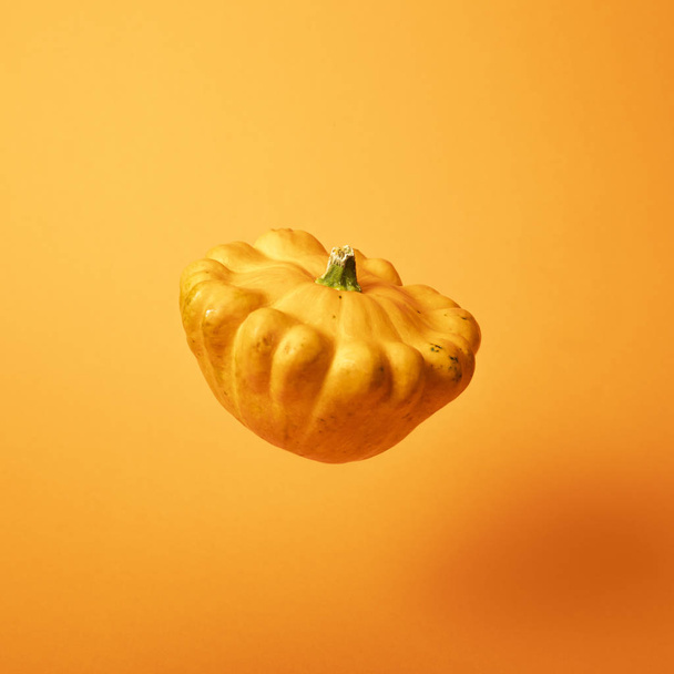 fresh gourd on bright yellow background - Foto, imagen