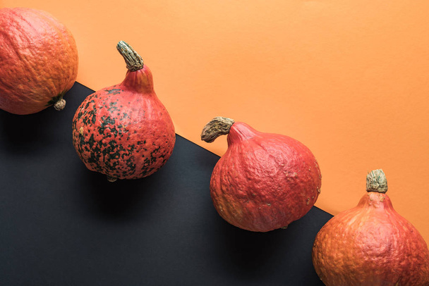 top view of ripe pumpkins on orange and black background - Foto, immagini