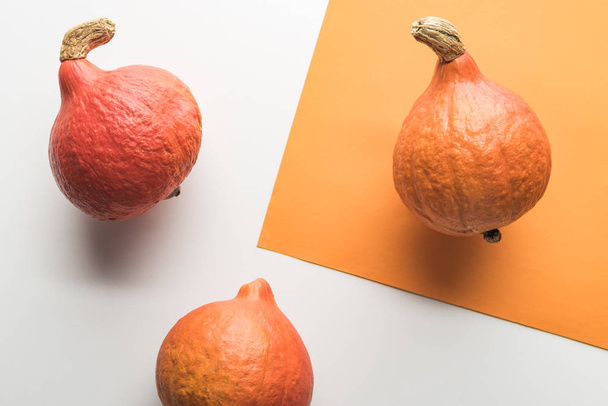 top view of ripe pumpkins on white and orange background - Foto, immagini