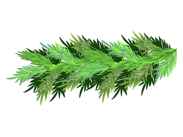 Green Christmas tree branch - vector image. - Вектор, зображення