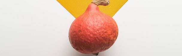 top view of ripe pumpkin on white and orange background, panoramic shot - Фото, изображение