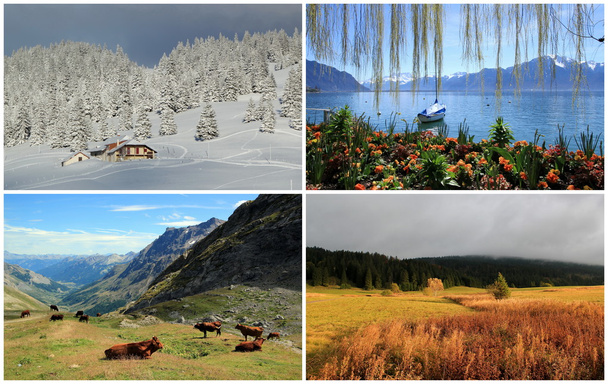 vier seizoenen collage - Foto, afbeelding