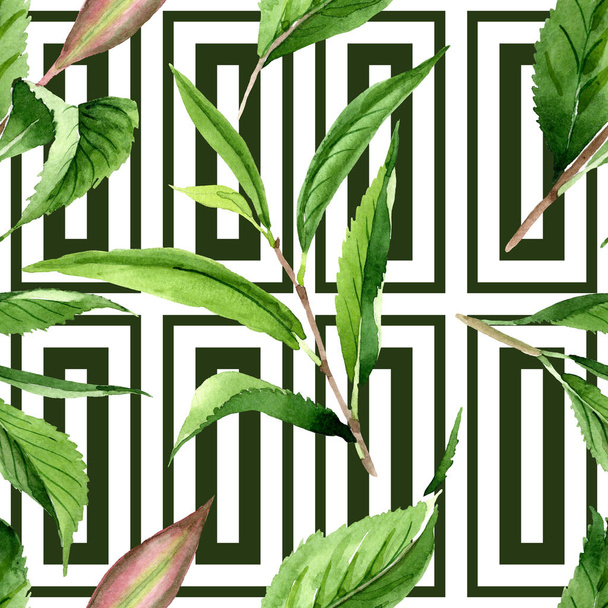 Green tea leaves. Watercolor background illustration set. Seamless background pattern. - Фото, зображення