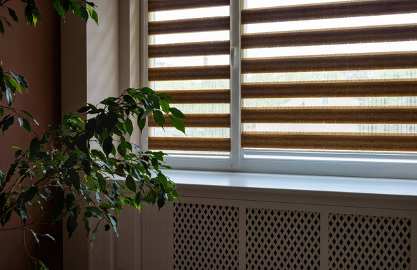Day and Night roller blinds. - Photo, Image