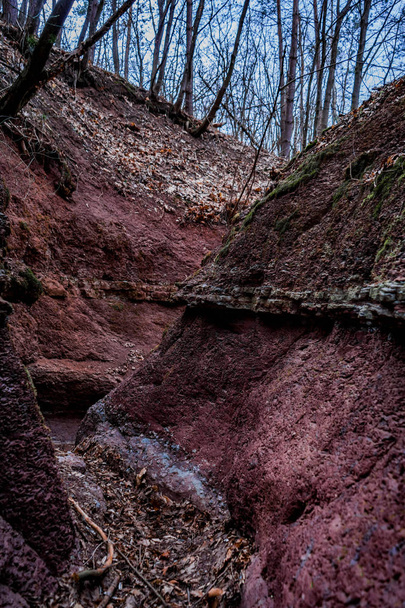Червоний камінь красива вода зробила каньйон у дикому лісі
 - Фото, зображення