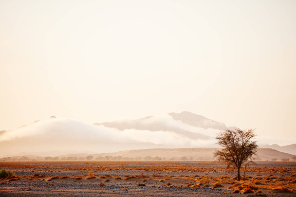 Beautiful landscape of Namib desert at sunrise - Photo, Image