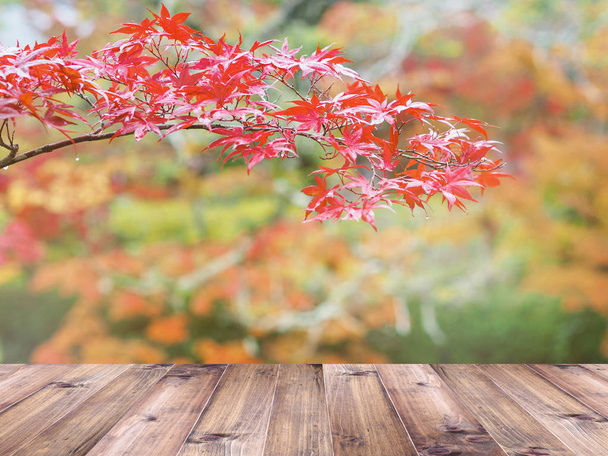 Wooden table top over maple leaves autumn background. - Photo, Image