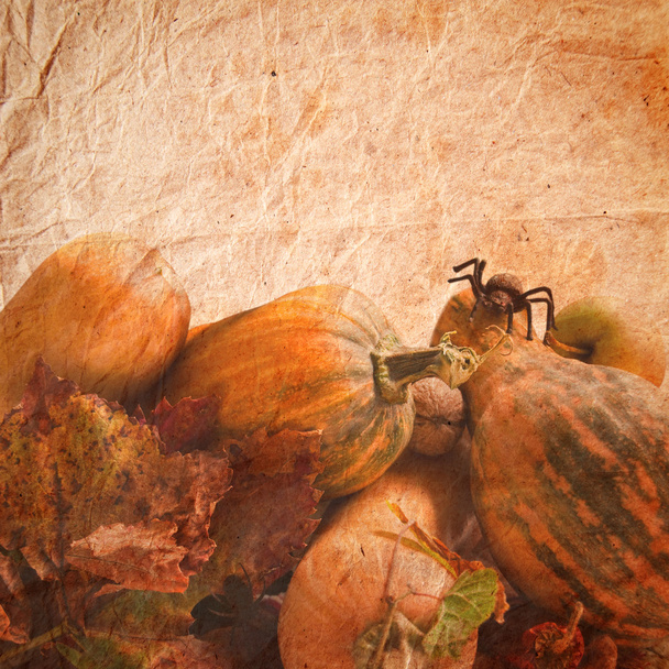 Autumn pumpkins - Φωτογραφία, εικόνα