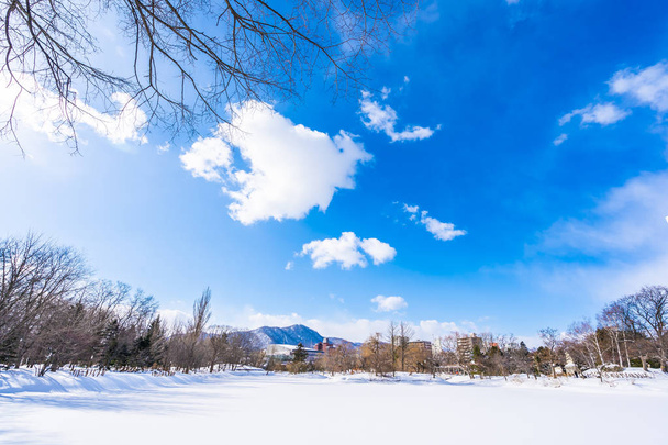 Красивий пейзаж з деревом в зимовий сезон
 - Фото, зображення