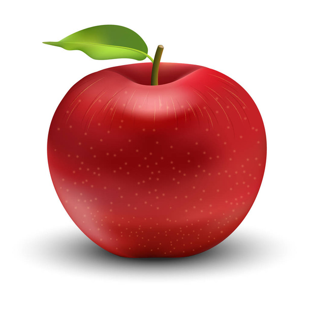 Ilustración vectorial de manzana roja
 - Vector, imagen