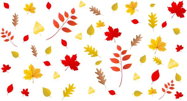 autumn leaves background for banner  - Vector, Image