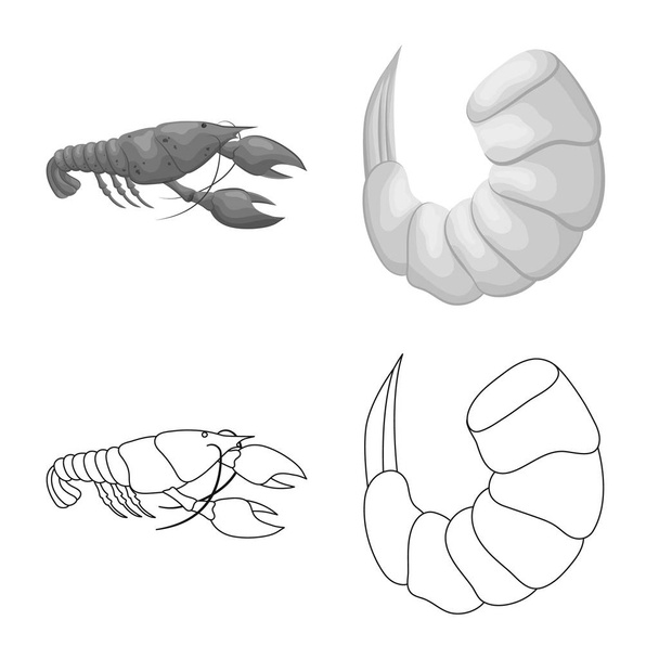 Vector illustration of appetizer and ocean icon. Collection of appetizer and delicacy stock vector illustration. - Διάνυσμα, εικόνα