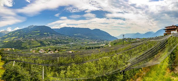 pohled malebného údolí od vesnice Tirolo s jablním křovím  - Fotografie, Obrázek
