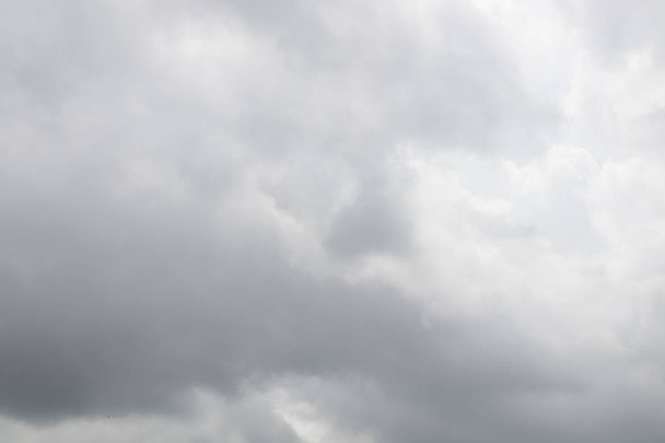 海の近くの広い白い夏の空に巻き毛灰色の雷雲 - 写真・画像