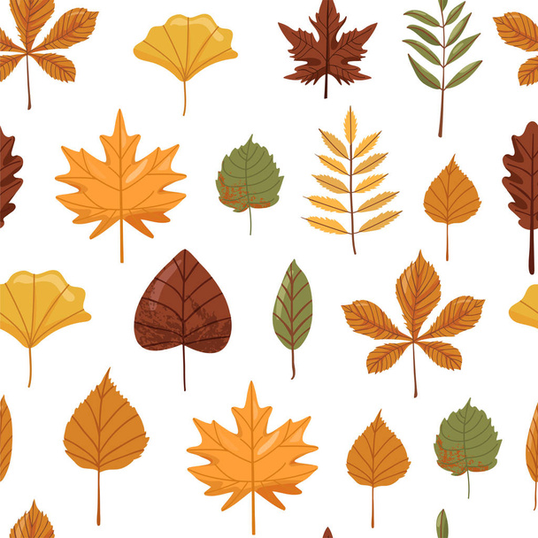 秋の背景。秋の様々な葉とのシームレスなパターン. - ベクター画像