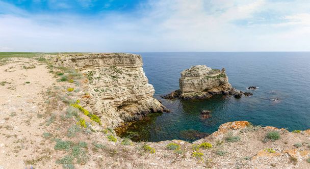 Côte de la mer avec falaises escarpées et rocher solitaire en mer
 - Photo, image