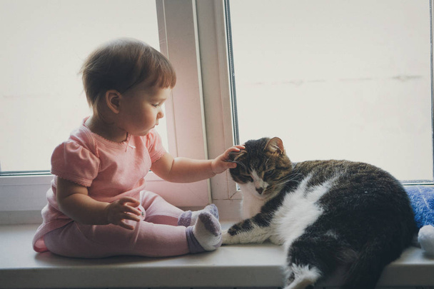A small child plays with a cat on the window. Happy childhood concept, pet protection, alternative medicine - Foto, imagen