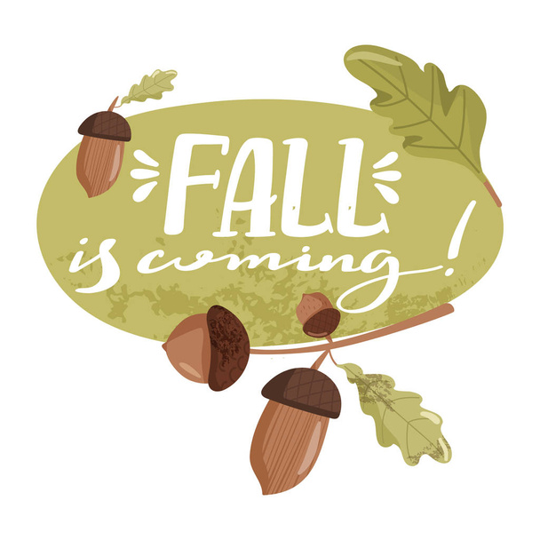 Jesienna ilustracja. Stylowy design slogan typografii "Fall is coming" znak. Różne rodzaje żołędzi i liści dębu. - Wektor, obraz