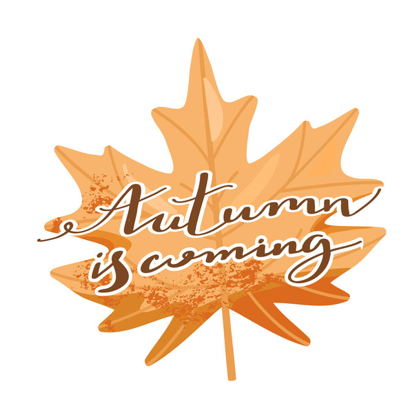 Herbstillustration. Stylisches Typografie-Slogan-Design "Der Herbst kommt" -Schild. Ahornblatt. - Vektor, Bild