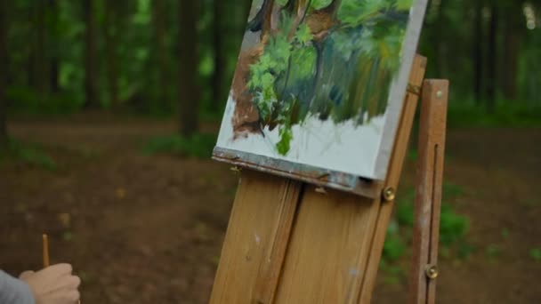Giovani ragazze mano facendo un paio di colpi sui disegni del paesaggio nella foresta
 - Filmati, video