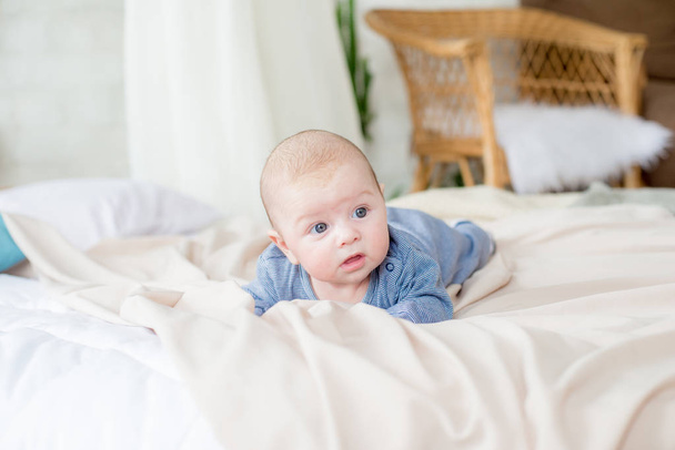 Little cute toddler is lying at home on the bed. Happy childhood - Photo, Image