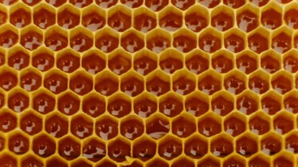 Hunajakampa. Muovisen hunajakennon jäljitelmä. Tiivistelmä
. - Materiaali, video